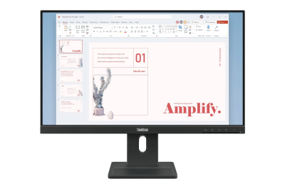 Lenovo ThinkVision E24-40 Monitor